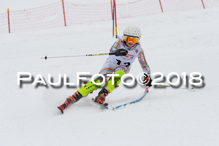 DSV Dt. Schülercup U14 SL 20.01.2018