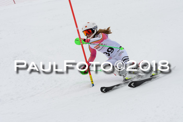 DSV Dt. Schülercup U14 SL 20.01.2018