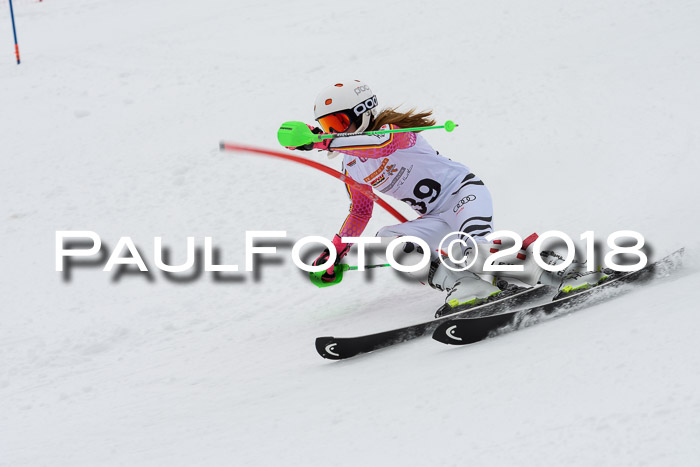 DSV Dt. Schülercup U14 SL 20.01.2018
