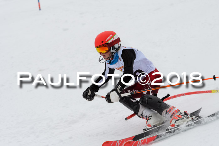 DSV Dt. Schülercup U14 SL 20.01.2018