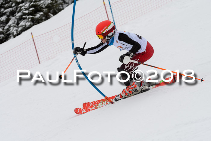DSV Dt. Schülercup U14 SL 20.01.2018