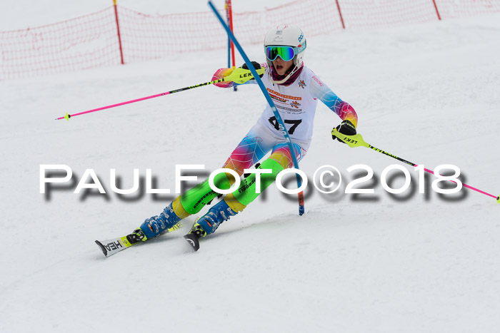DSV Dt. Schülercup U14 SL 20.01.2018