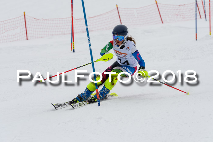 DSV Dt. Schülercup U14 SL 20.01.2018