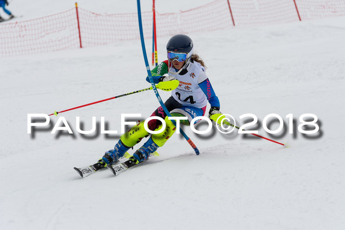 DSV Dt. Schülercup U14 SL 20.01.2018