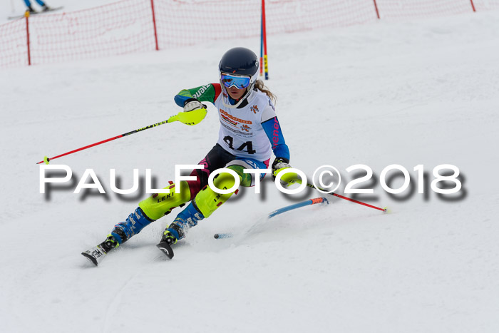 DSV Dt. Schülercup U14 SL 20.01.2018