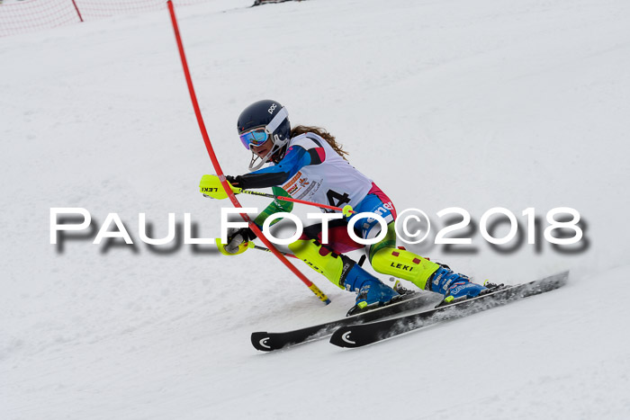 DSV Dt. Schülercup U14 SL 20.01.2018