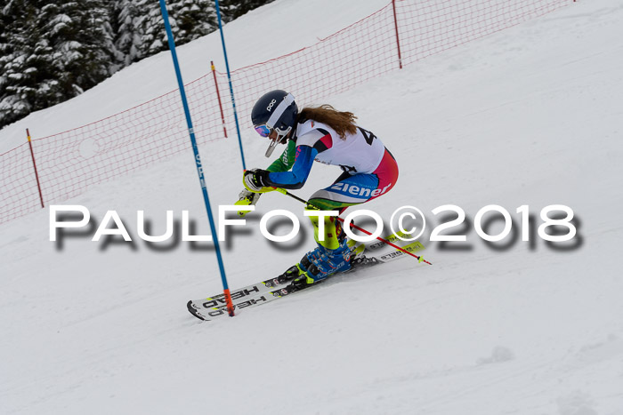 DSV Dt. Schülercup U14 SL 20.01.2018