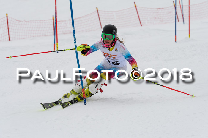 DSV Dt. Schülercup U14 SL 20.01.2018
