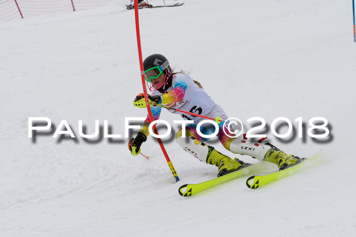 DSV Dt. Schülercup U14 SL 20.01.2018