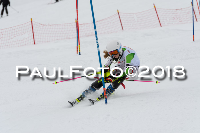 DSV Dt. Schülercup U14 SL 20.01.2018