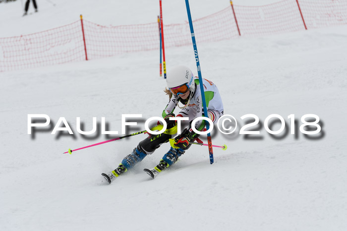 DSV Dt. Schülercup U14 SL 20.01.2018