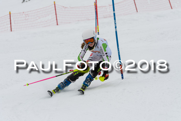 DSV Dt. Schülercup U14 SL 20.01.2018