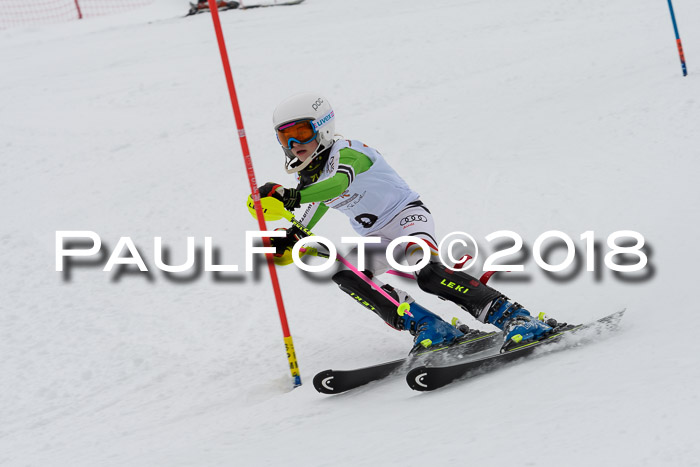 DSV Dt. Schülercup U14 SL 20.01.2018