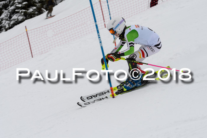 DSV Dt. Schülercup U14 SL 20.01.2018