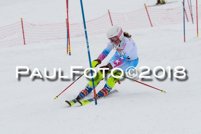 DSV Dt. Schülercup U14 SL 20.01.2018
