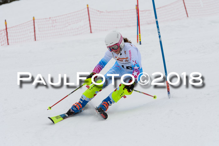 DSV Dt. Schülercup U14 SL 20.01.2018