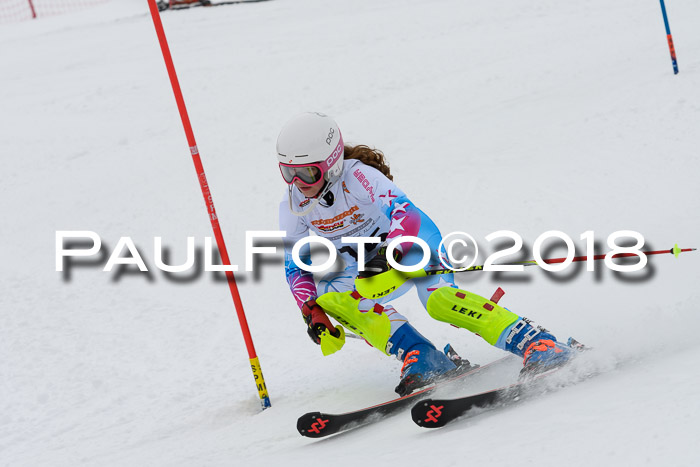 DSV Dt. Schülercup U14 SL 20.01.2018