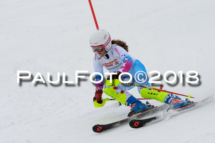 DSV Dt. Schülercup U14 SL 20.01.2018