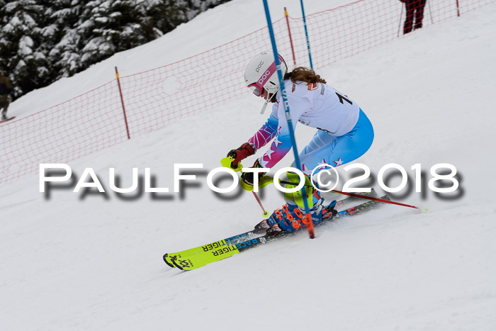 DSV Dt. Schülercup U14 SL 20.01.2018