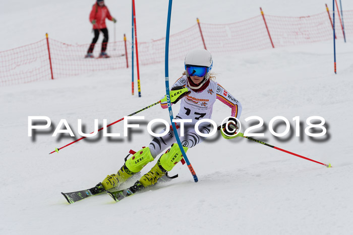DSV Dt. Schülercup U14 SL 20.01.2018