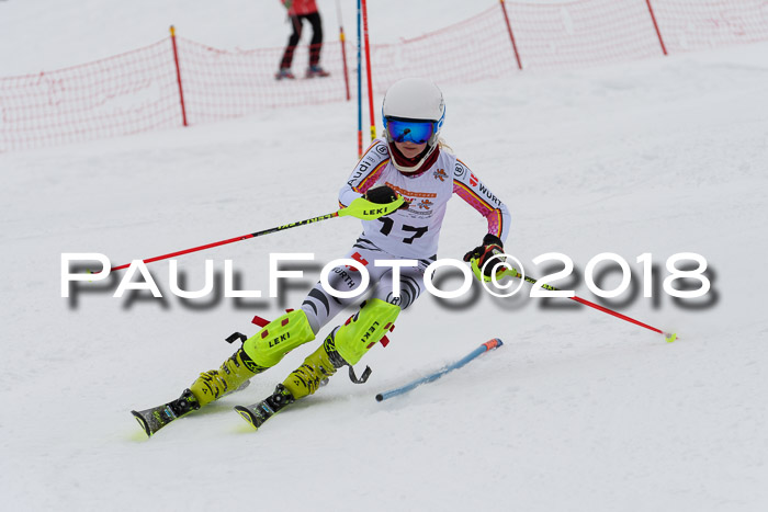 DSV Dt. Schülercup U14 SL 20.01.2018