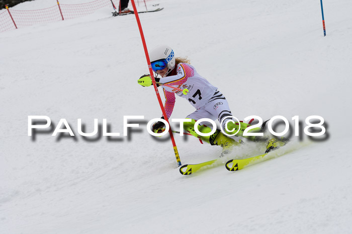 DSV Dt. Schülercup U14 SL 20.01.2018