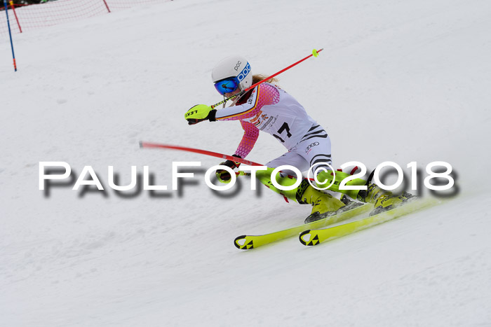 DSV Dt. Schülercup U14 SL 20.01.2018