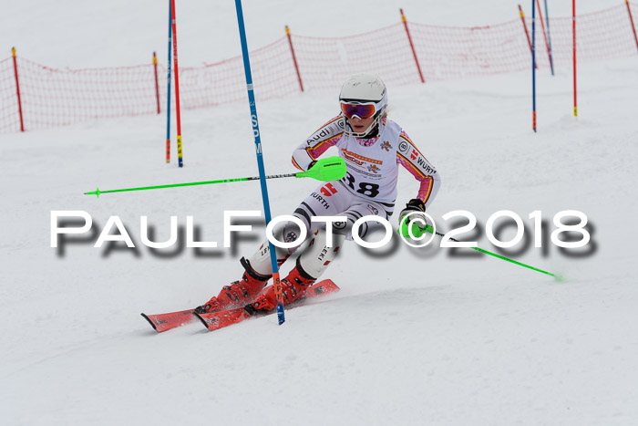 DSV Dt. Schülercup U14 SL 20.01.2018