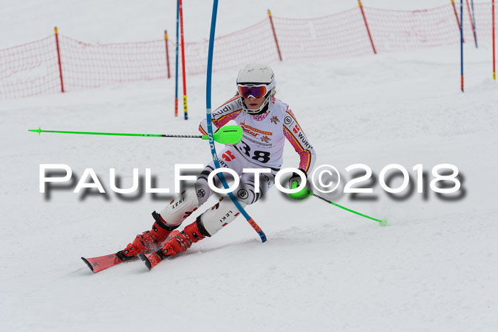 DSV Dt. Schülercup U14 SL 20.01.2018
