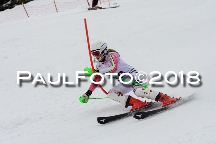 DSV Dt. Schülercup U14 SL 20.01.2018