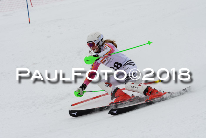 DSV Dt. Schülercup U14 SL 20.01.2018