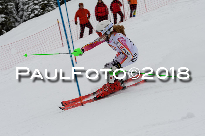 DSV Dt. Schülercup U14 SL 20.01.2018