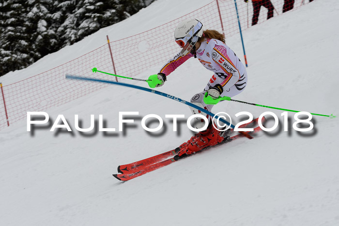 DSV Dt. Schülercup U14 SL 20.01.2018