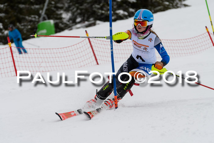 DSV Dt. Schülercup U14 SL 20.01.2018