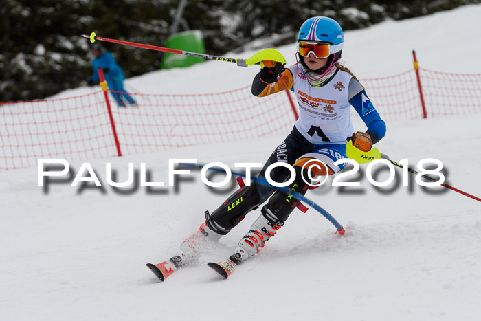 DSV Dt. Schülercup U14 SL 20.01.2018