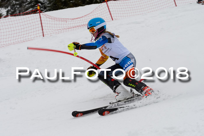 DSV Dt. Schülercup U14 SL 20.01.2018