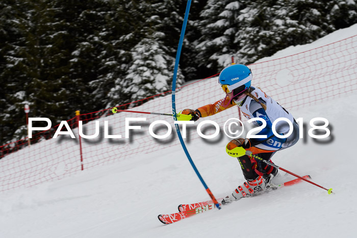 DSV Dt. Schülercup U14 SL 20.01.2018