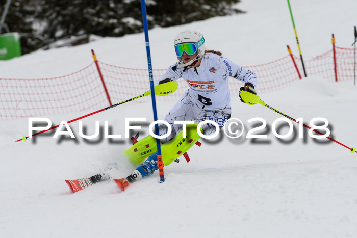 DSV Dt. Schülercup U14 SL 20.01.2018