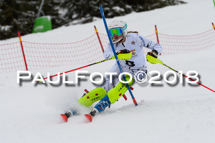 DSV Dt. Schülercup U14 SL 20.01.2018