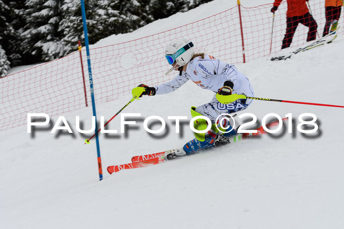 DSV Dt. Schülercup U14 SL 20.01.2018