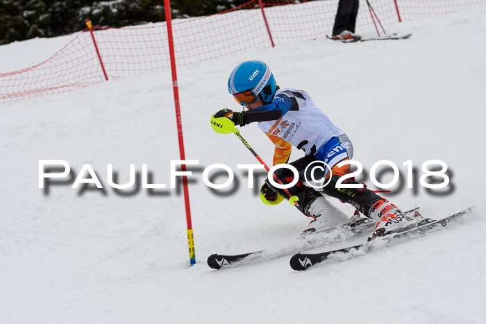 DSV Dt. Schülercup U14 SL 20.01.2018