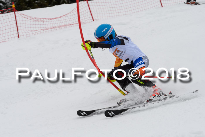DSV Dt. Schülercup U14 SL 20.01.2018
