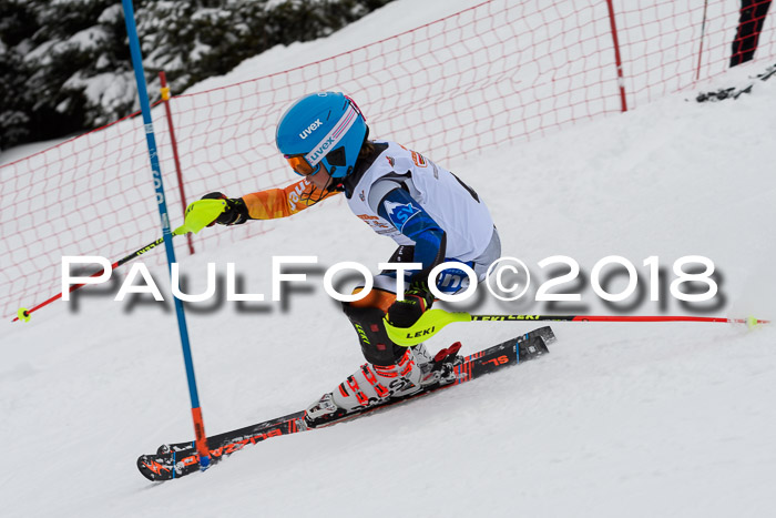 DSV Dt. Schülercup U14 SL 20.01.2018