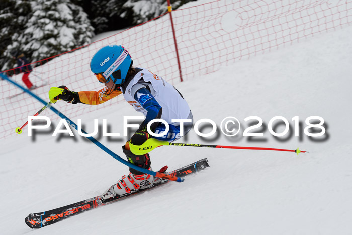 DSV Dt. Schülercup U14 SL 20.01.2018