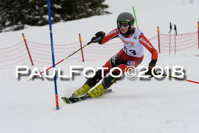 DSV Dt. Schülercup U14 SL 20.01.2018
