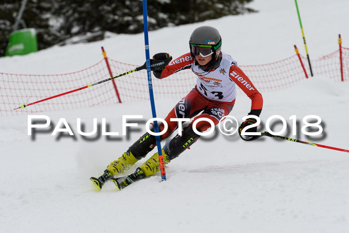 DSV Dt. Schülercup U14 SL 20.01.2018