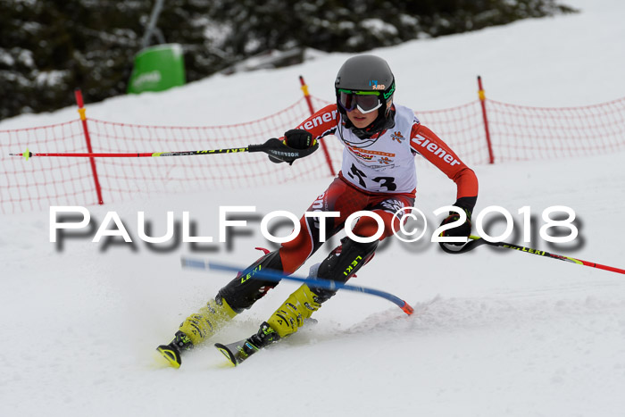 DSV Dt. Schülercup U14 SL 20.01.2018