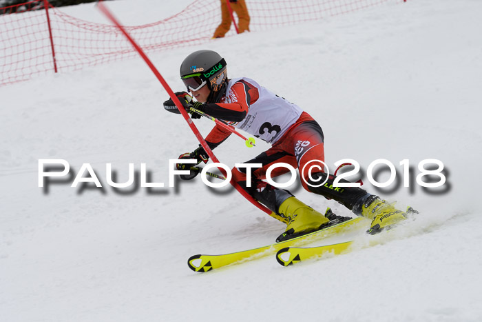 DSV Dt. Schülercup U14 SL 20.01.2018