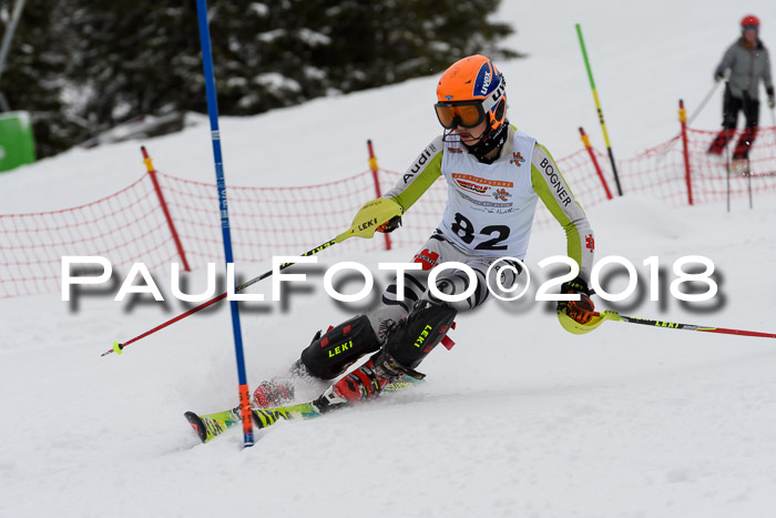 DSV Dt. Schülercup U14 SL 20.01.2018
