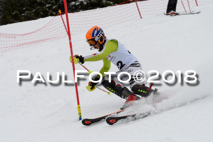 DSV Dt. Schülercup U14 SL 20.01.2018